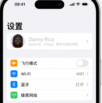 惠安appleID维修服务iPhone设置中Apple ID显示为灰色无法使用