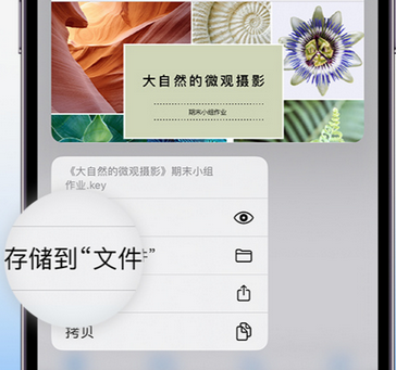 惠安apple维修中心分享iPhone文件应用中存储和找到下载文件