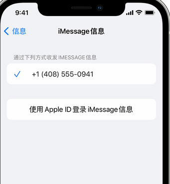 惠安apple维修iPhone上无法正常发送iMessage信息 