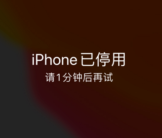 惠安苹果手机维修分享:iPhone 显示“不可用”或“已停用”怎么办？还能保留数据吗？ 