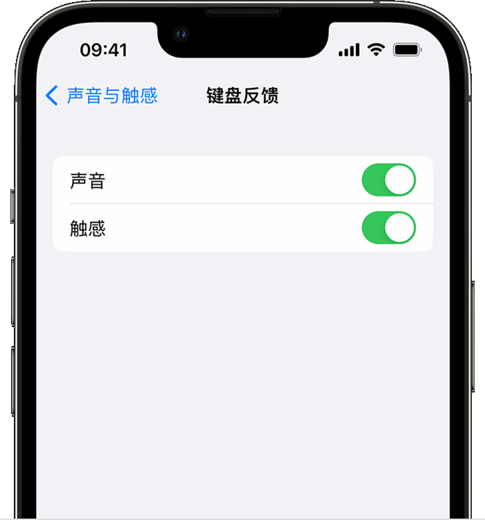 惠安苹果14维修店分享如何在 iPhone 14 机型中使用触感键盘 