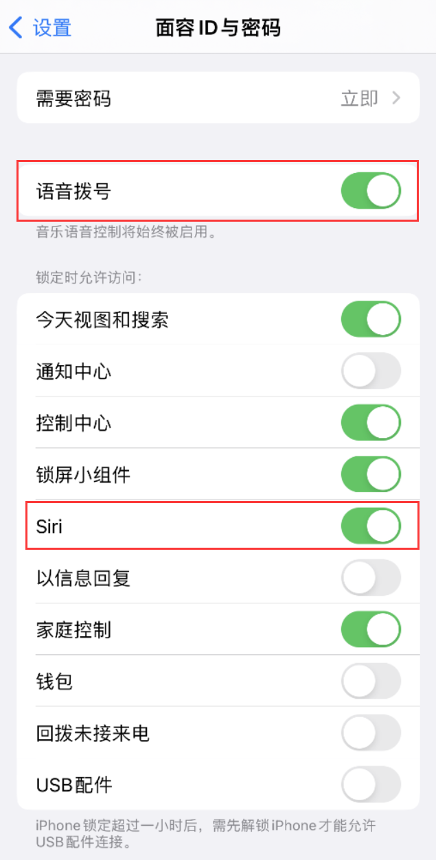 惠安苹果维修网点分享不解锁 iPhone 的情况下通过 Siri 拨打电话的方法 