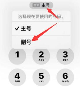 惠安苹果14维修店分享iPhone 14 Pro Max使用副卡打电话的方法 