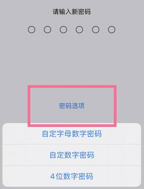 惠安苹果14维修分享iPhone 14plus设置密码的方法 