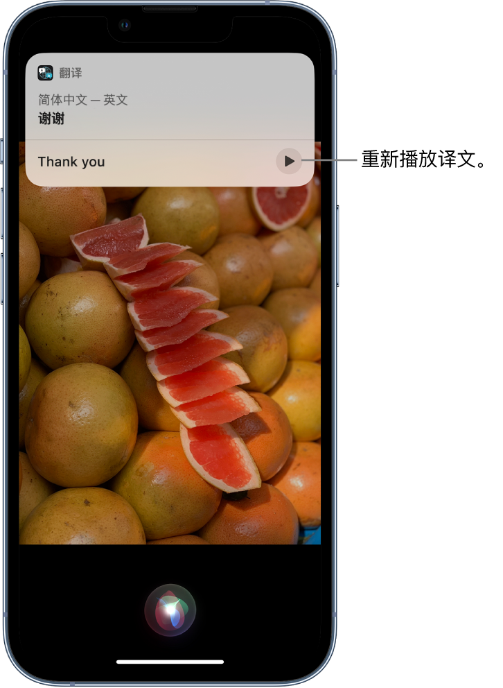 惠安苹果14维修分享 iPhone 14 机型中使用 Siri：了解 Siri 能帮你做什么 