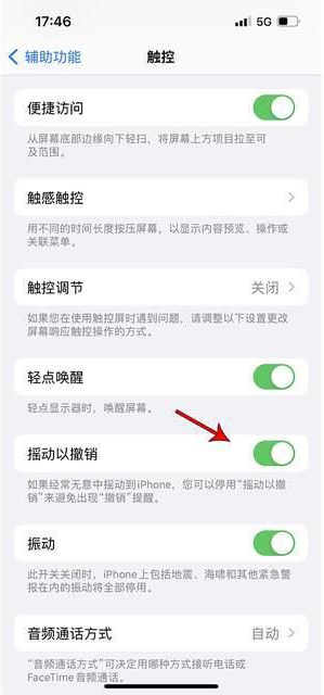 惠安苹果手机维修分享iPhone手机如何设置摇一摇删除文字 