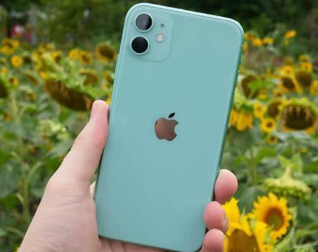 惠安苹果维修点分享iPhone 11锁屏密码认知与使用科普 