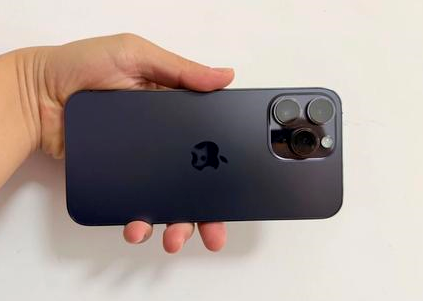 惠安苹果维修点分享iPhone 14 Pro Max黑屏少见故障盘点 